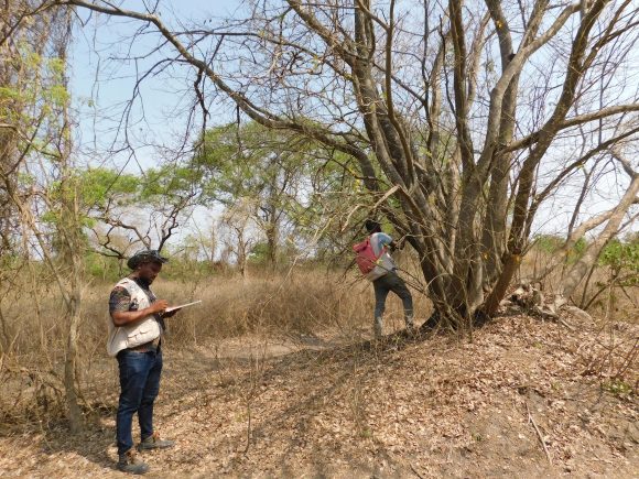 MAROMI-TIKPLE : LE PROJET PPAS-C LANCE L’ÉTUDE D’IMPACT ENVIRONNEMENTAL ET SOCIAL SIMPLIFIÉE POUR LA CONSTRUCTION DE RETENUE D’EAU MARAÎCHÈRE