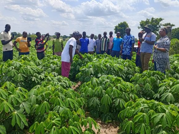 PLATEAUX EST : ODIAE ET PROFIT RENFORCENT LEUR ENGAGEMENT EN FAVEUR DES PRODUCTEURS AGRICOLES